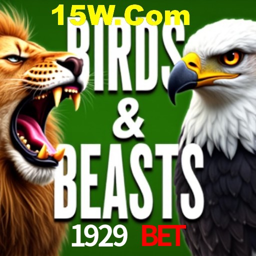 Apostas Esportivas na 1929 Bet: Um Guia Completo